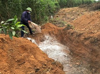 CÁC BIỆN PHÁP PHÒNG CHỐNG BỆNH DỊCH TẢ LỢN CHÂU PHI