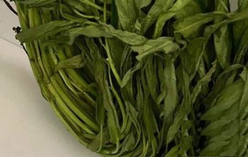 RAU MUỐNG SẤY KHÔ- RAU CHO NGƯỜI ĐI BIỂN