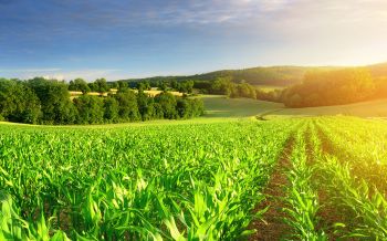 Nghệ An: Triển khai 08 nhóm giải pháp để phát triển nuôi thủy sản đặc sản nước ngọt