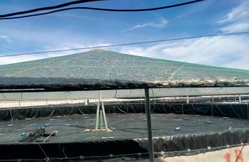 Thông báo lịch mùa vụ nuôi trồng thủy sản năm 2024